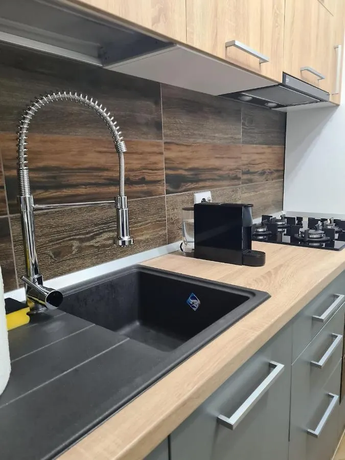 Ghencea Residence 158 L1 布加勒斯特 公寓